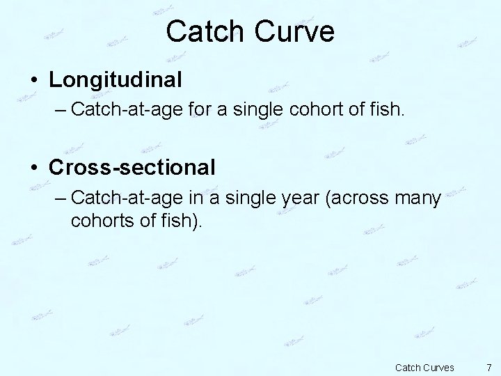 Catch Curve • Longitudinal – Catch-at-age for a single cohort of fish. • Cross-sectional