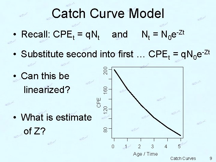 Catch Curve Model • Recall: CPEt = q. Nt and Nt = N 0