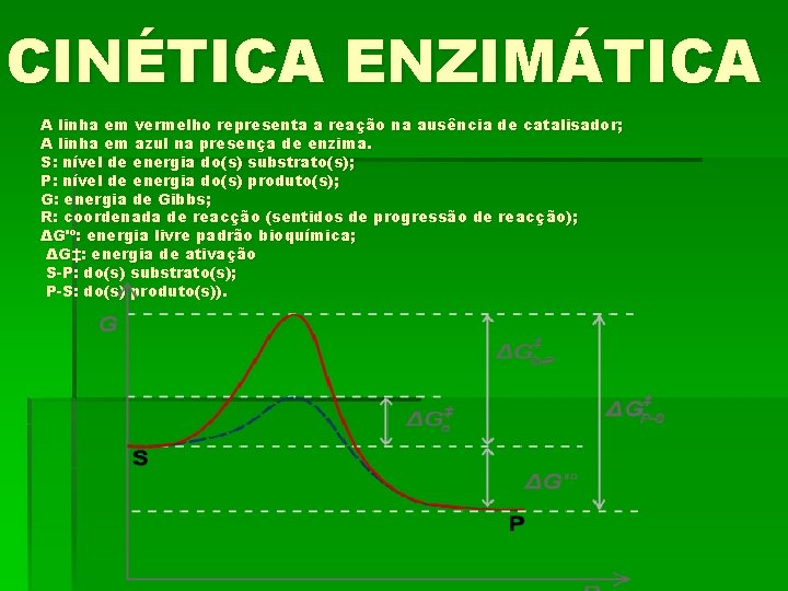 CINÉTICA ENZIMÁTICA A linha em vermelho representa a reação na ausência de catalisador; A