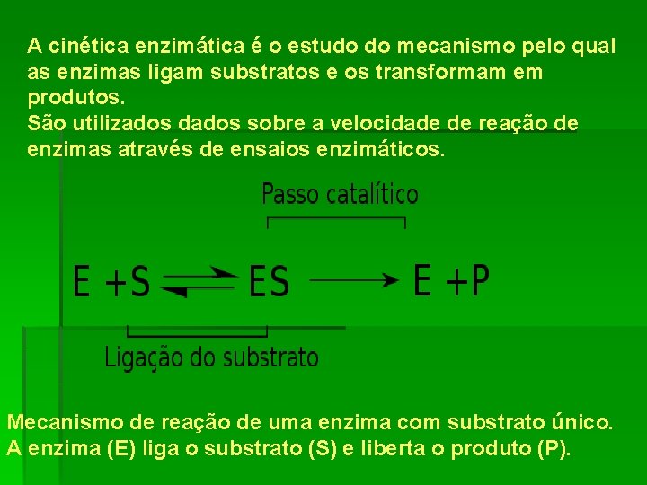 A cinética enzimática é o estudo do mecanismo pelo qual as enzimas ligam substratos