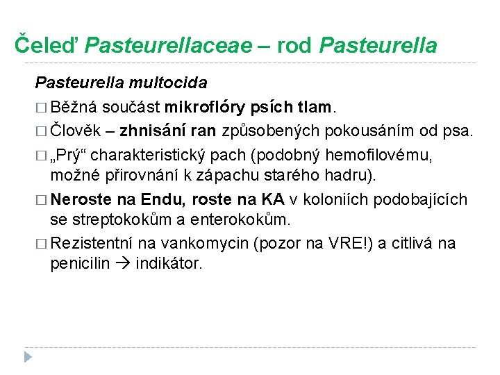 Čeleď Pasteurellaceae – rod Pasteurella multocida � Běžná součást mikroflóry psích tlam. � Člověk