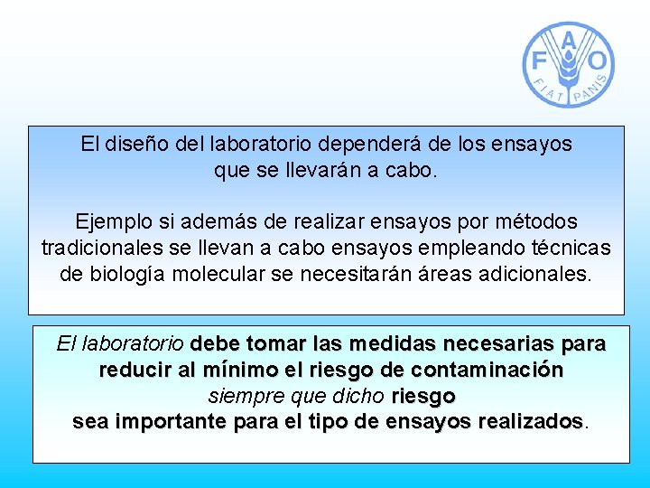 El diseño del laboratorio dependerá de los ensayos que se llevarán a cabo. Ejemplo