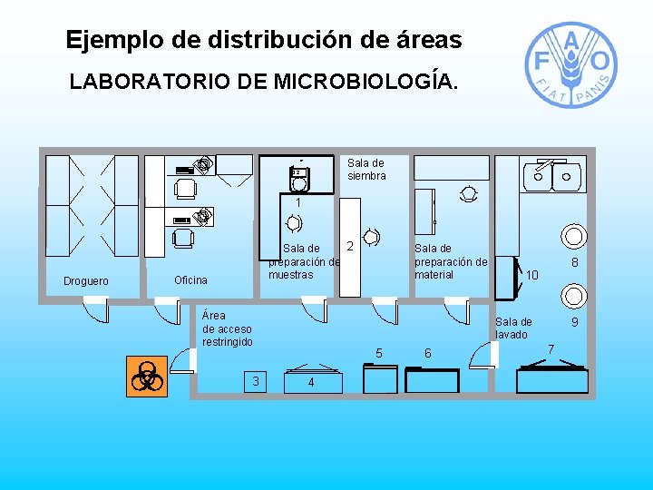 Ejemplo de distribución de áreas LABORATORIO DE MICROBIOLOGÍA. Sala de siembra 10. 2 1