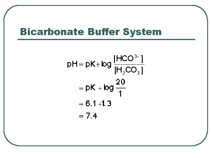 Bicarbonate Buffer System 