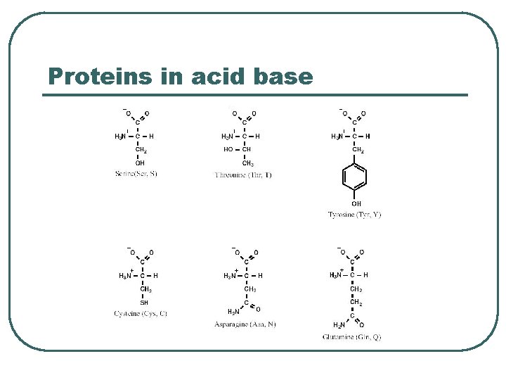 Proteins in acid base 