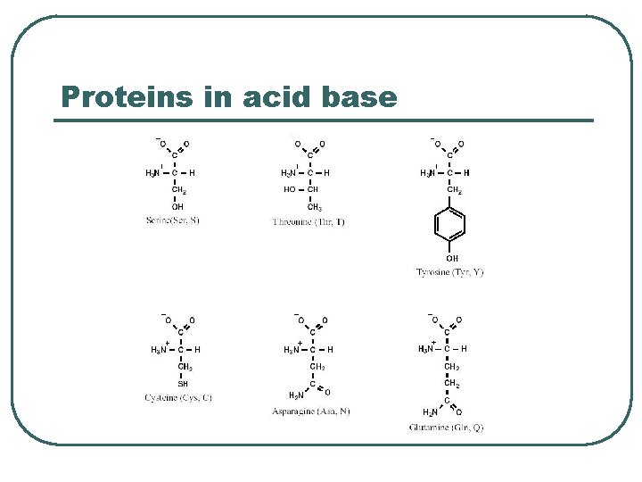 Proteins in acid base  Proteins in acid base