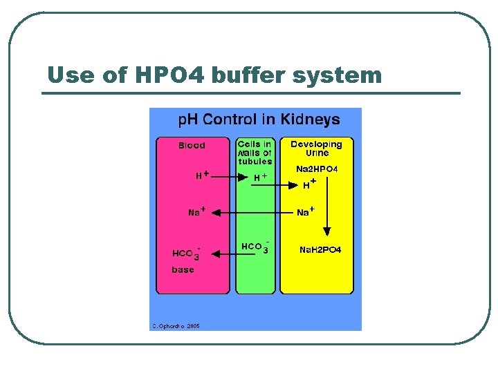 Use of HPO 4 buffer system 