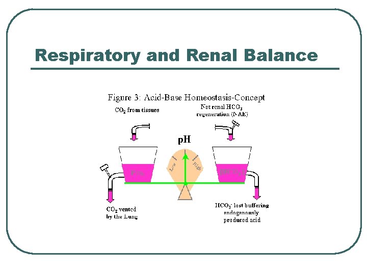 Respiratory and Renal Balance  Respiratory and Renal Balance