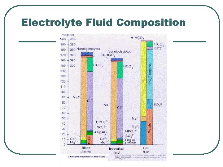 Electrolyte Fluid Composition  Electrolyte Fluid Composition