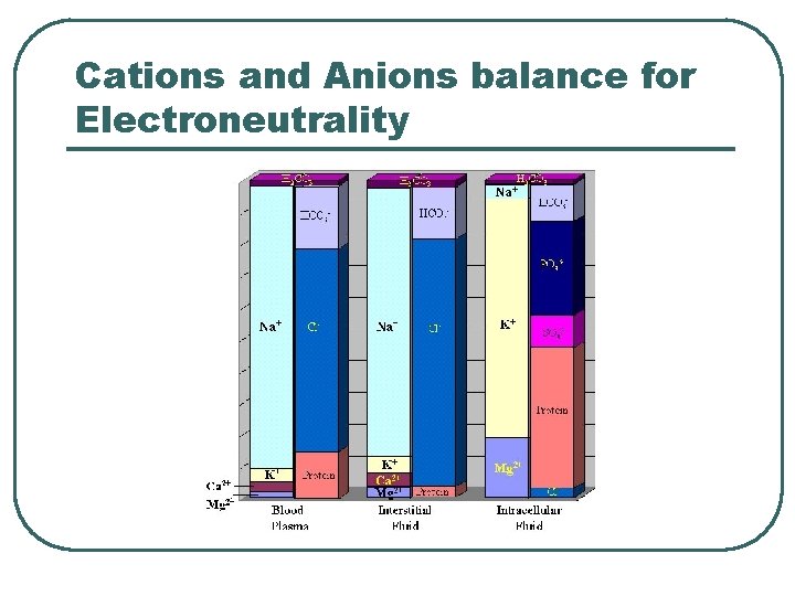 Cations and Anions balance for Electroneutrality 