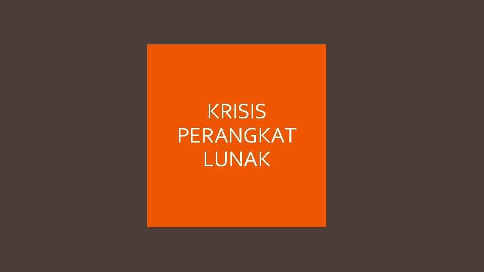 KRISIS PERANGKAT LUNAK 