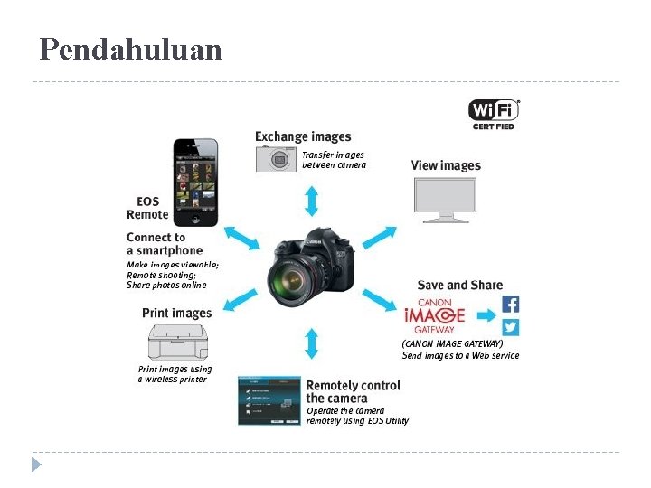 Pendahuluan 