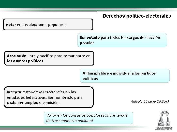 Derechos político-electorales Votar en las elecciones populares Ser votado para todos los cargos de