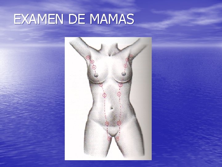EXAMEN DE MAMAS 