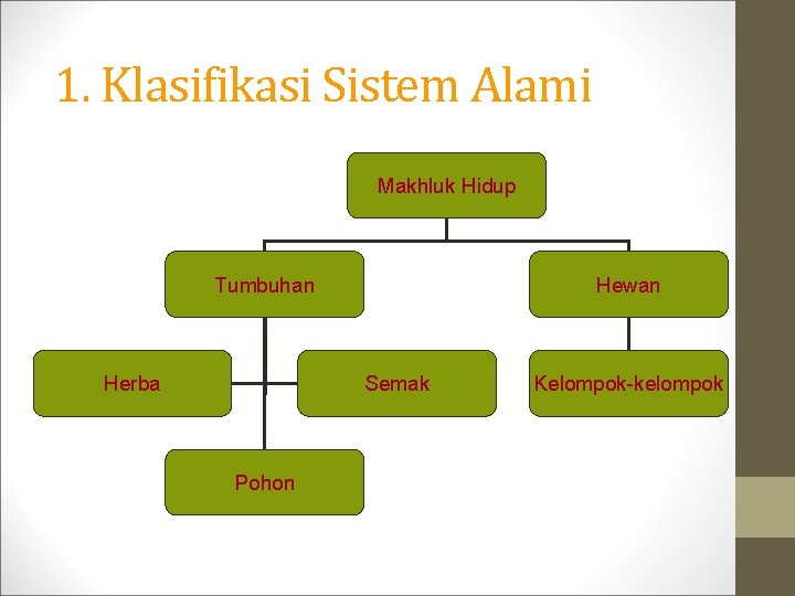 1. Klasifikasi Sistem Alami Makhluk Hidup Tumbuhan Herba Hewan Semak Pohon Kelompok-kelompok 