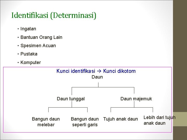 Identifikasi (Determinasi) • Ingatan • Bantuan Orang Lain • Spesimen Acuan • Pustaka •