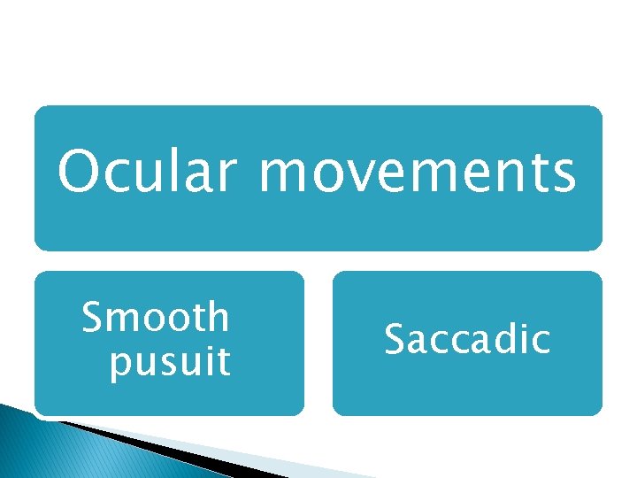 Ocular movements Smooth pusuit Saccadic 