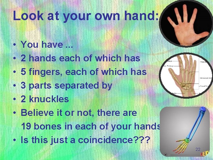 Look at your own hand: • You have. . . • 2 hands each