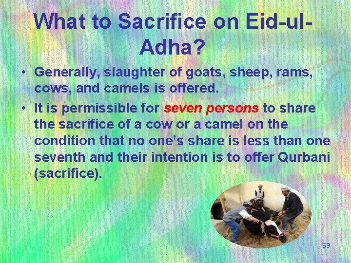 What to Sacrifice on Eid-ul. Adha? • Generally, slaughter of goats, sheep, rams, cows,