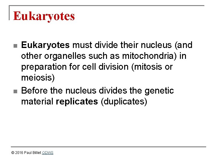 Eukaryotes n n Eukaryotes must divide their nucleus (and other organelles such as mitochondria)