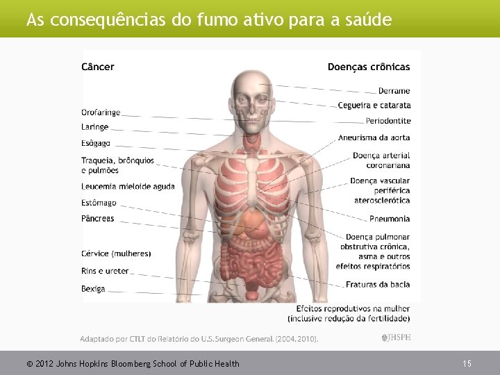 As consequências do fumo ativo para a saúde 2012 Johns Hopkins Bloomberg School of