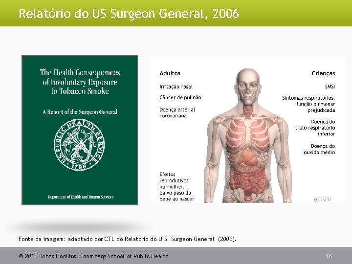 Relatório do US Surgeon General, 2006 Fonte da imagem: adaptado por CTL do Relatório