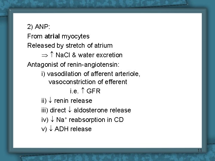 2) ANP: From atrial myocytes Released by stretch of atrium Na. Cl & water