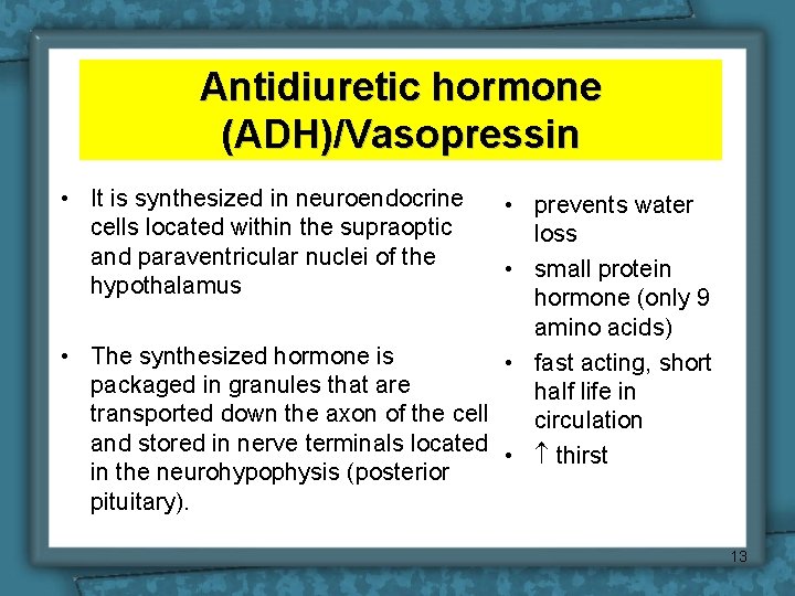 Antidiuretic hormone (ADH)/Vasopressin • It is synthesized in neuroendocrine cells located within the supraoptic