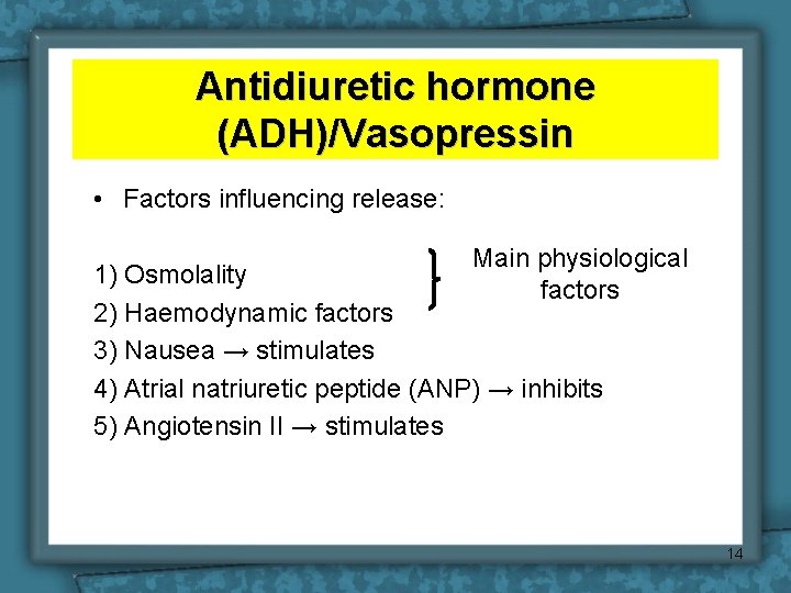 Antidiuretic hormone (ADH)/Vasopressin • Factors influencing release: Main physiological factors 1) Osmolality 2) Haemodynamic