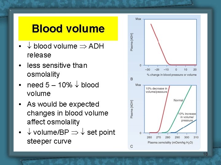 Blood volume • blood volume ADH release • less sensitive than osmolality • need