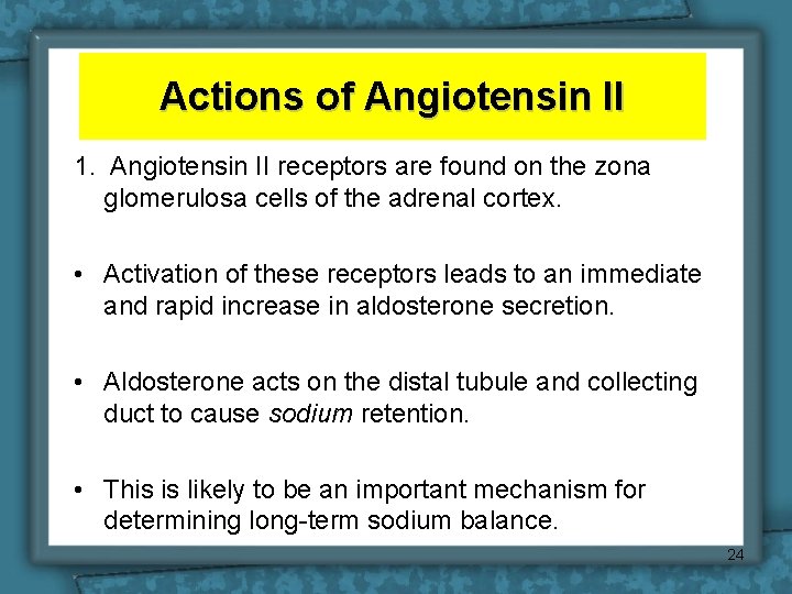 Actions of Angiotensin II 1. Angiotensin II receptors are found on the zona glomerulosa