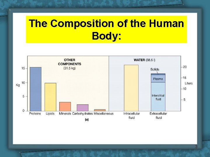 The Composition of the Human Body: 3 