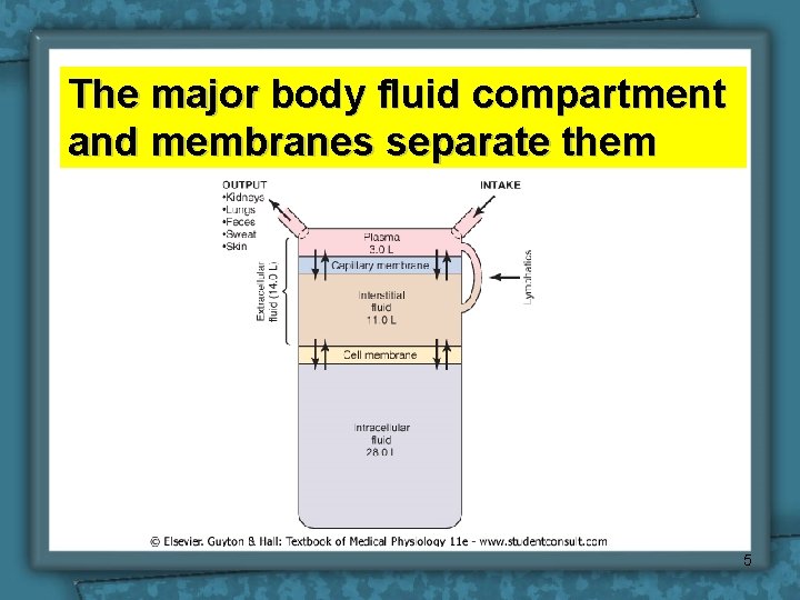 The major body fluid compartment and membranes separate them 5 