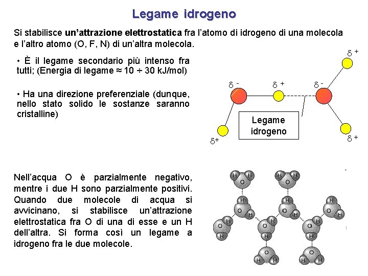 Legame idrogeno Si stabilisce un’attrazione elettrostatica fra l’atomo di idrogeno di una molecola e