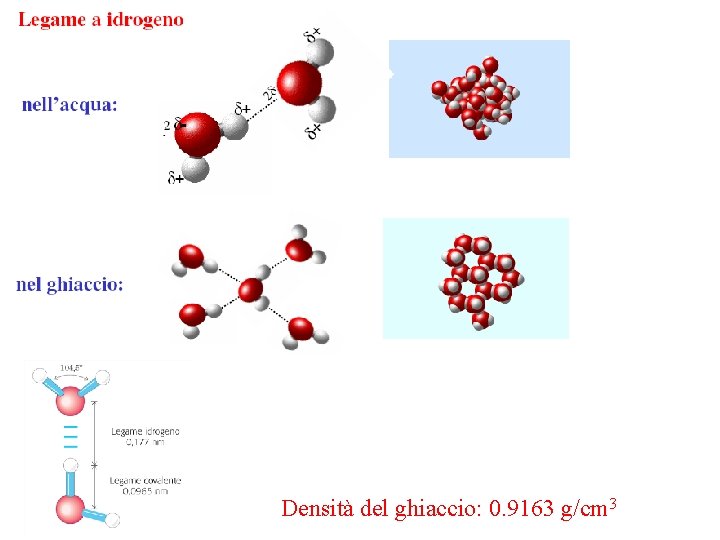 caotici ben definiti Il carattere direzionale del legame H fa’ sì che H 2