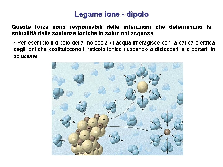 Legame ione - dipolo Queste forze sono responsabili delle interazioni che determinano la solubilità