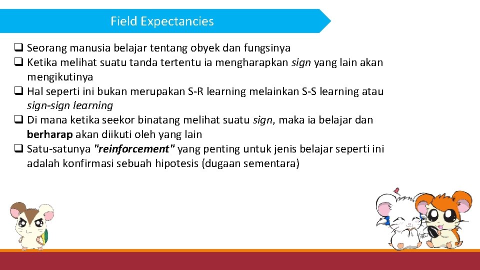 Field Expectancies q Seorang manusia belajar tentang obyek dan fungsinya q Ketika melihat suatu