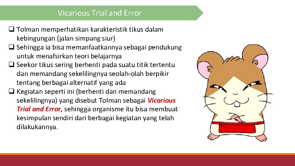 Vicarious Trial and Error q Tolman memperhatikan karakteristik tikus dalam kebingungan (jalan simpang siur)