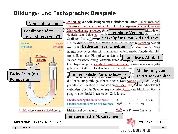 Bildungs- und Fachsprache: Beispiele Nominalisierung Konditionalsätze (auch ohne „wenn“) trennbare Verben Verknüpfung von Bild