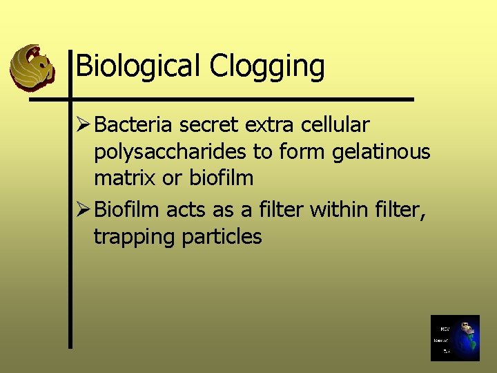 Biological Clogging Ø Bacteria secret extra cellular polysaccharides to form gelatinous matrix or biofilm