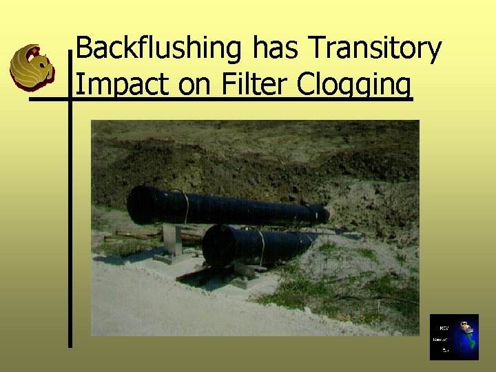 Backflushing has Transitory Impact on Filter Clogging 