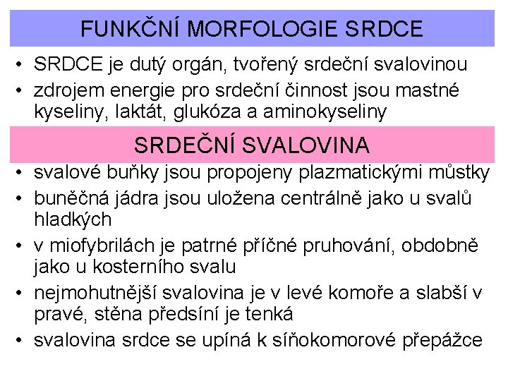 FUNKČNÍ MORFOLOGIE SRDCE • SRDCE je dutý orgán, tvořený srdeční svalovinou • zdrojem energie