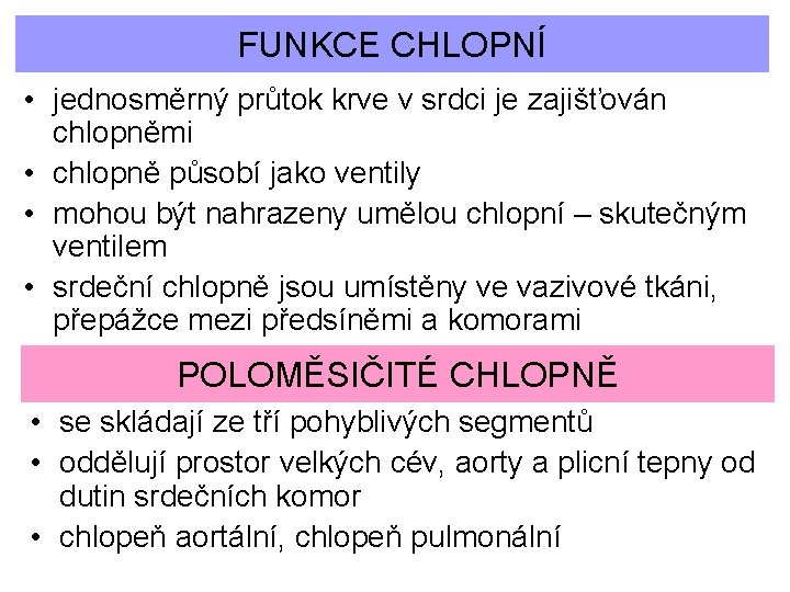 FUNKCE CHLOPNÍ • jednosměrný průtok krve v srdci je zajišťován chlopněmi • chlopně působí