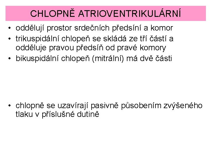 CHLOPNĚ ATRIOVENTRIKULÁRNÍ • oddělují prostor srdečních předsíní a komor • trikuspidální chlopeň se skládá