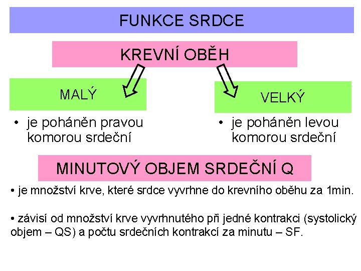 FUNKCE SRDCE KREVNÍ OBĚH MALÝ VELKÝ • je poháněn pravou komorou srdeční • je