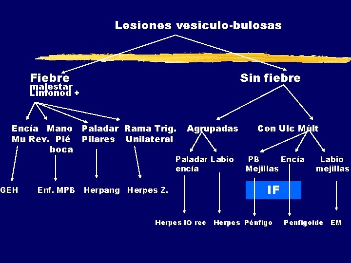 Lesiones vesiculo-bulosas Fiebre Sin fiebre malestar Linfonod + Encía Mano Mu Rev. Pié boca