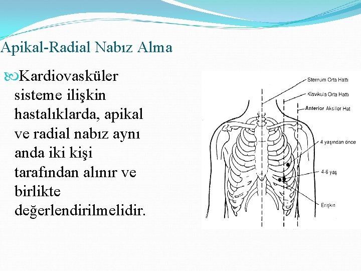 Apikal-Radial Nabız Alma Kardiovasküler sisteme ilişkin hastalıklarda, apikal ve radial nabız aynı anda iki