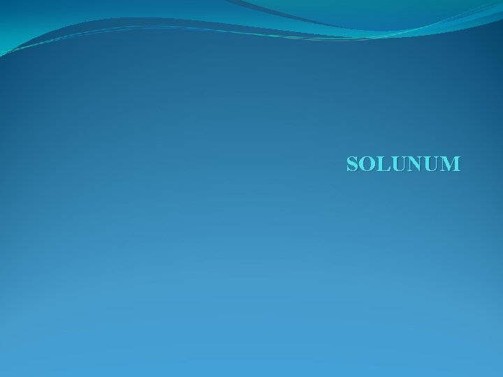 SOLUNUM 