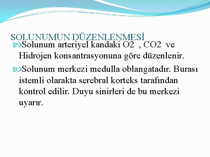 SOLUNUMUN DÜZENLENMESİ Solunum arteriyel kandaki O 2 , CO 2 ve Hidrojen konsantrasyonuna göre