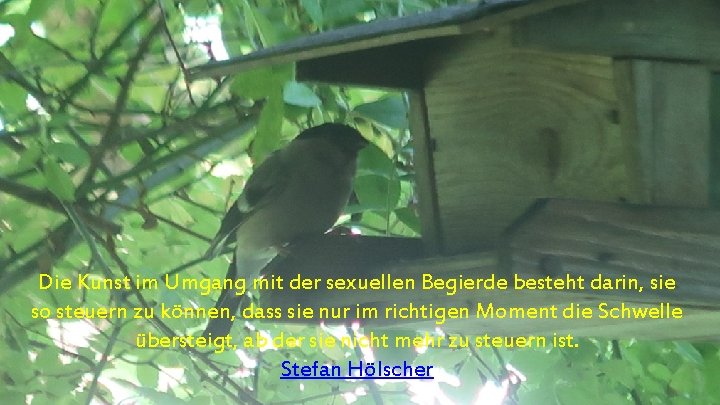 Die Kunst im Umgang mit der sexuellen Begierde besteht darin, sie so steuern zu
